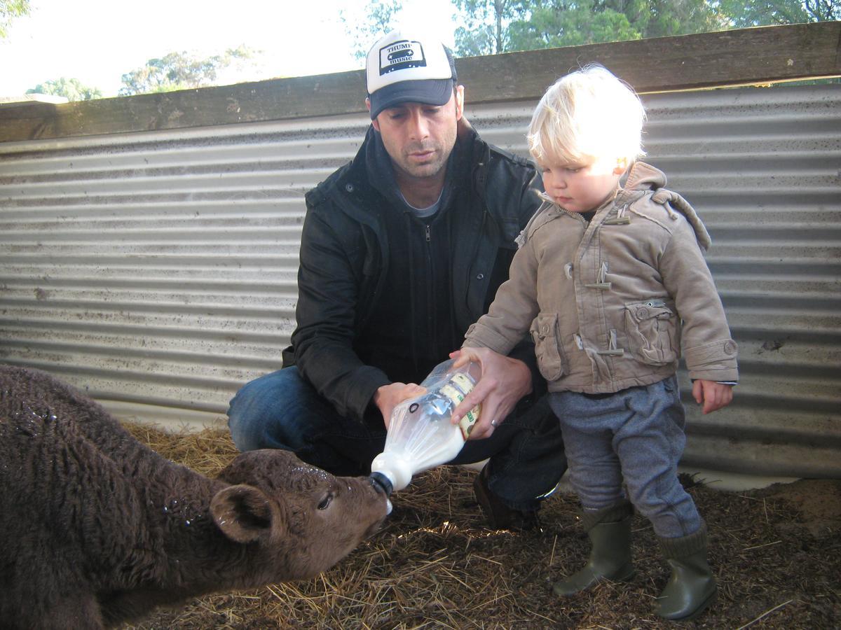 Wyadup Brook Cottages Yallingup Buitenkant foto