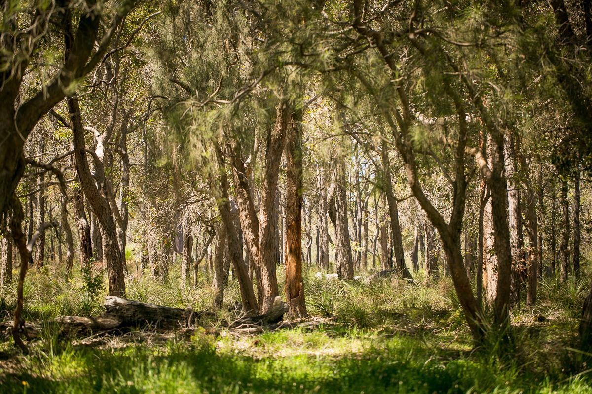 Wyadup Brook Cottages Yallingup Buitenkant foto